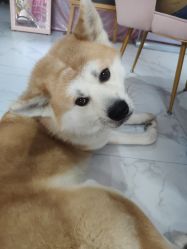-JX今喜美甲美睫