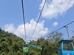 -野象谷景区