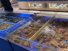 -青岛蓝海御华大饭店（金沙滩店）·蓝钻国际美食自助百汇