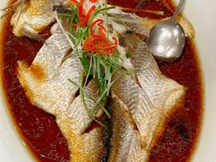 -丹江渔村(望京店)