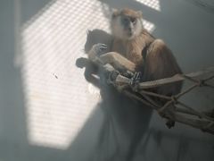 -新疆天山野生动物园