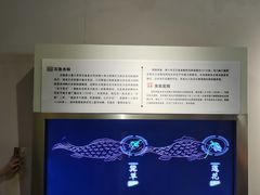 -白鹤梁水下博物馆