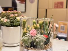 -鹿栖·精油SPA(龙岗爱联店)