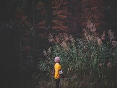 -云溪植物园
