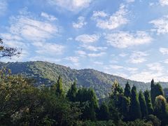 -惠山国家森林公园
