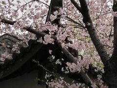 -范蠡湖公园