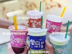 南澳岛打卡水果冰公司-南澳岛打卡果汁冰公司