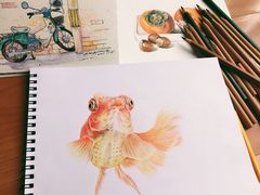 -一品格美术·中考高中成人美术培训