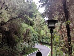 -富乐山