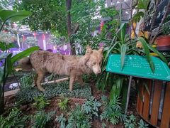 -九尊食上(生态园林酒店)