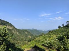 -西湖风景区十里琅珰-五云山