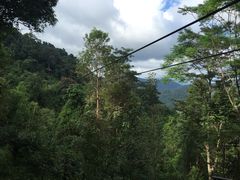 -清迈丛林飞跃 JungleFlight