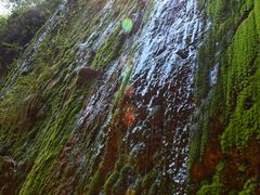 -鹿院坪生态旅游景区