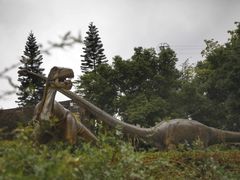 -自贡恐龙博物馆