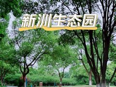 -新洲生态园