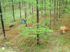 -黄海国家森林公园