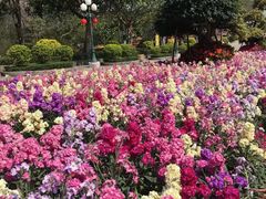 -广州莲花山旅游区
