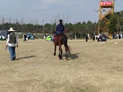 -武汉紫薇都市田园