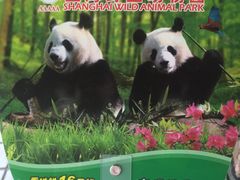 -上海浦东康桥绿地假日酒店