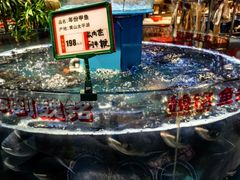 -魏铭鱼头捞饭(晋阳路店)