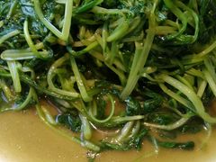 清炒鸡毛菜-京城小江南·北京烤鸭·江南土菜·白鱼(中关村店)