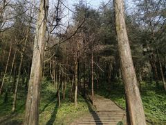-青城山