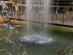 -呀路古热带植物园