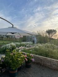 -DORA kids 朵拉儿童摄影花园店