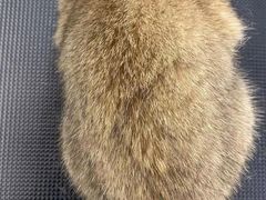 -comecome来吧宠物(奥克斯中心店)