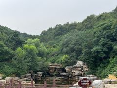 -北京西山国家森林公园