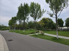 -商丘市人民公园