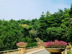 -云溪植物园