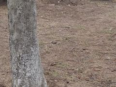 -厦门园林博览苑