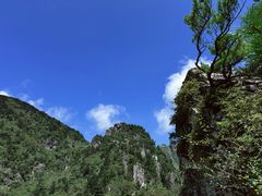 -牛背梁国家森林公园