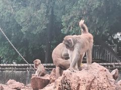 -昆明动物园