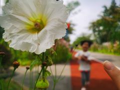 -上海长兴岛郊野公园