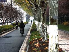 IMG_0014-上海浦东星河湾酒店