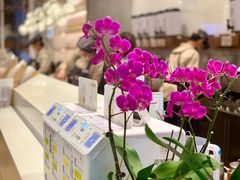 -奈雪的茶(石厦时代广场店)