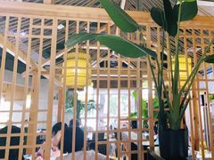 -探窝·竹笙椰子鸡(杨箕店)