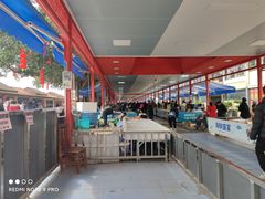 -大湾区中央湿地公园-十九涌
