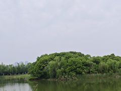 -艾溪湖湿地公园