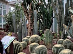 -昆明植物园