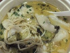 -阳阳中国饭(北京荟聚店)