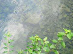 -白云源风景区