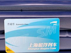 -龙阳路磁悬浮列车总站-停车场