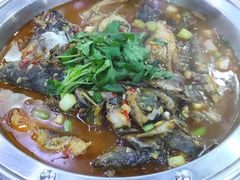 -全乐鱼馆·淳牌有机鱼直营店