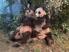 -国家自然博物馆