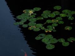 -兰亭风景区