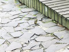 -五营国家森林公园