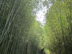 -竹泉村旅游度假区